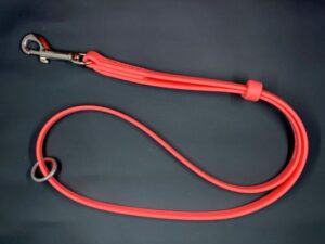 Biothane 24” Leads W/Rings