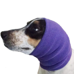 Happy Hoodie Purple