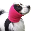 Happy Hoodie X-Small Pink